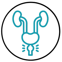 Prostate - What is bothering you? - Ledviny