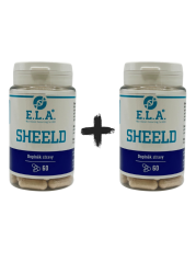ELA Sheeld 1+1