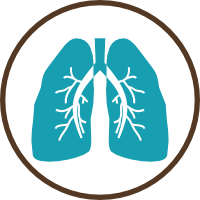 Lungs - Astravia