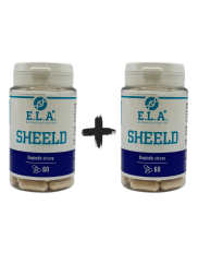 ELA Sheeld 1+1