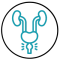 Prostata