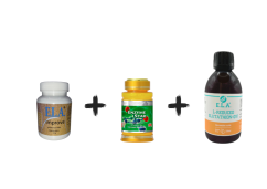 ELA Improve + ENZYME STAR 60 kapslí + L-reduced Glutathion+Q10