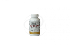 EPI EBV