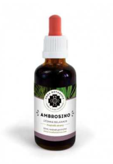 Ambrosino