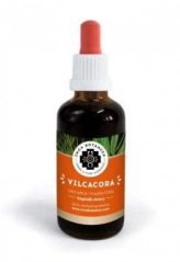 Vilcacora – extrakt 50 ml