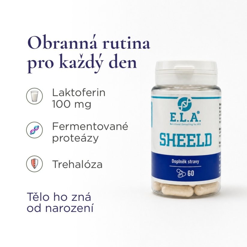 ELA Sheeld 1+1