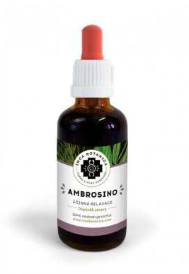 Ambrosino