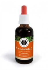 Vilcacora – extrakt 50 ml