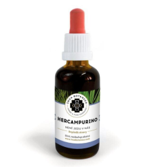 HERCAMPURINO